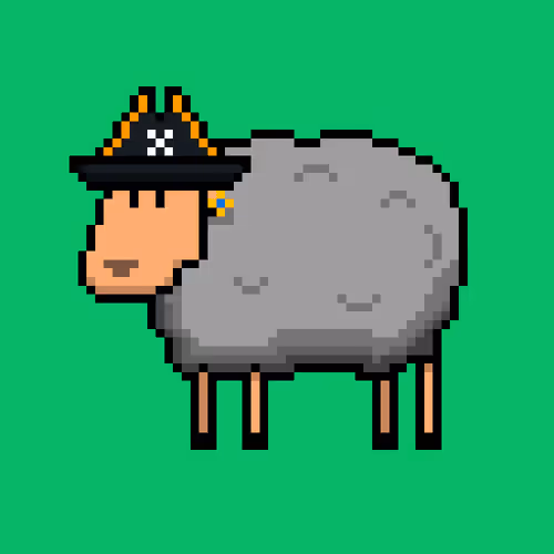 Shaggy Sheep