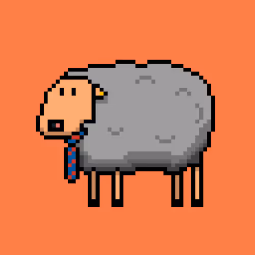 Shaggy Sheep