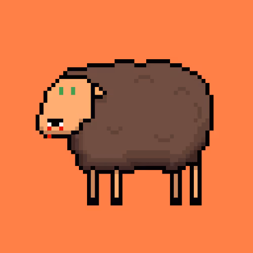 Shaggy Sheep