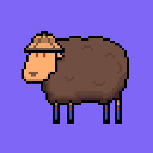 Shaggy Sheep