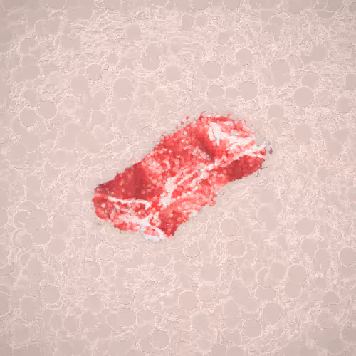 Steak #1288