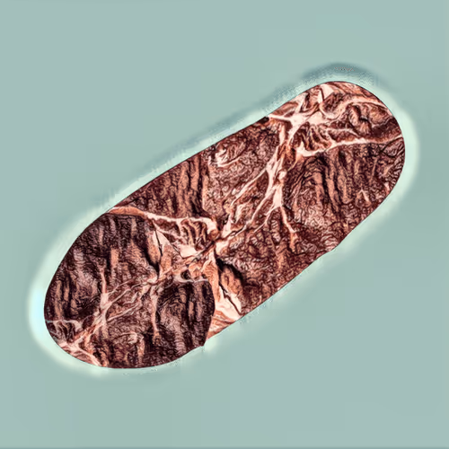 Steak #977