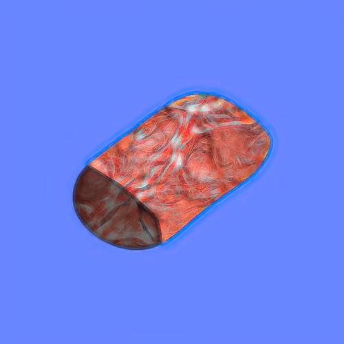Steak #1302