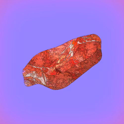 Steak #1307