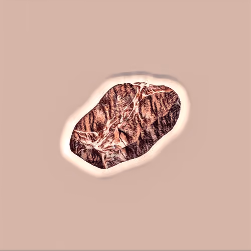 Steak #1234
