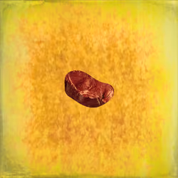 Steak #770