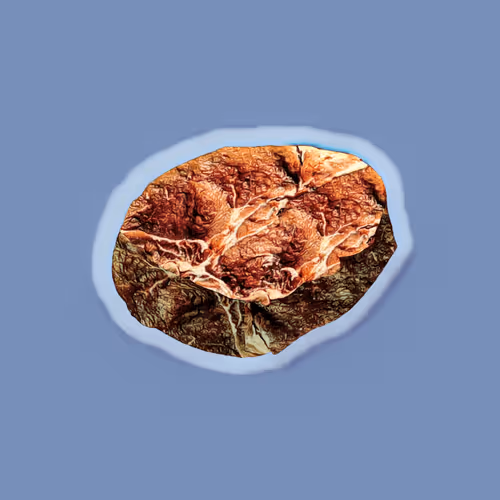 Steak #1316
