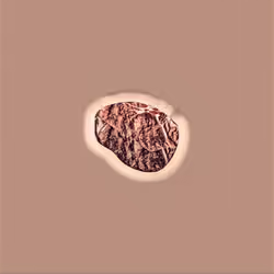 Steak #1150