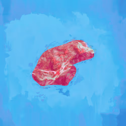 Steak #833