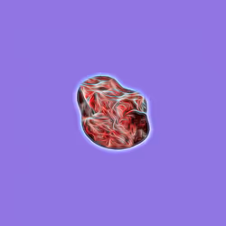 702