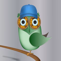 Groovy Owl #1275