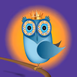 Groovy Owl #997