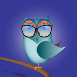 Groovy Owl #409