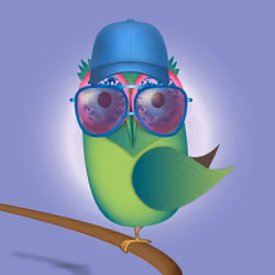 Groovy Owl #1026