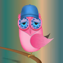 Groovy Owl #165