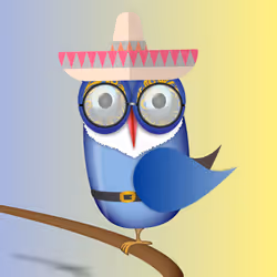 Groovy Owl #1241