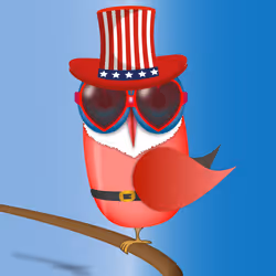 Groovy Owl #995