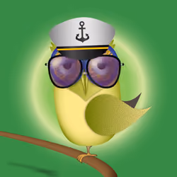 Groovy Owl #994