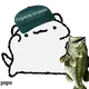 258