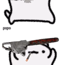 popo #992