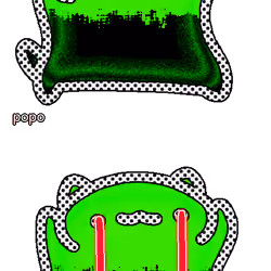 popo #2706
