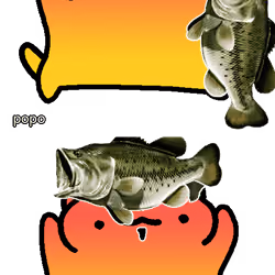 popo #2872