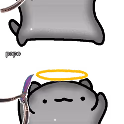 popo #2384