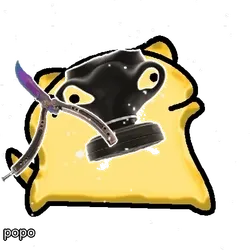 popo #2492