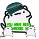 2846
