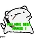 1233