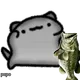 1252