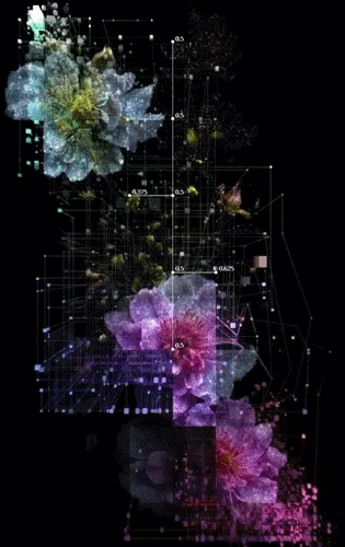 Aura