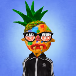 Toks #2502