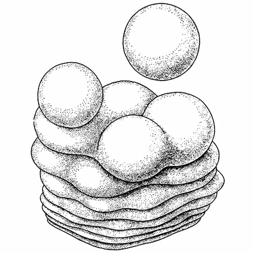 Blob.gif (2/3)