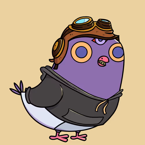 Everythingscoo