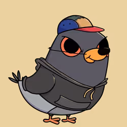 Pigeon #6993