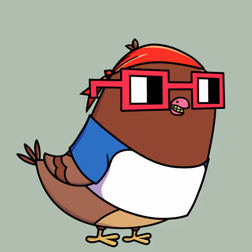 Everythingscoo