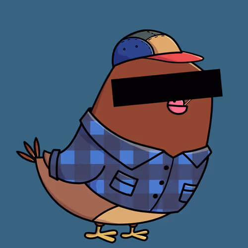 Everythingscoo