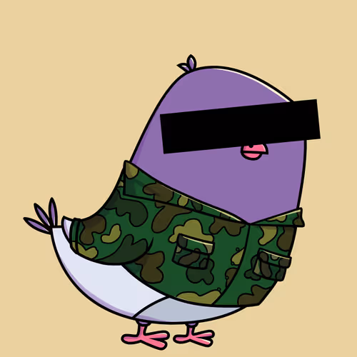 Everythingscoo