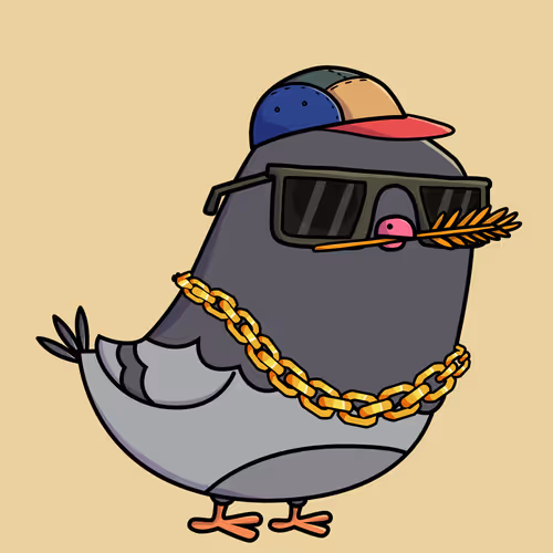 Everythingscoo