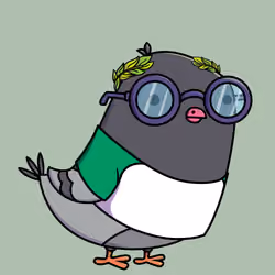 Pigeon #3219