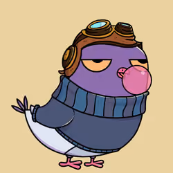 Pigeon #6578