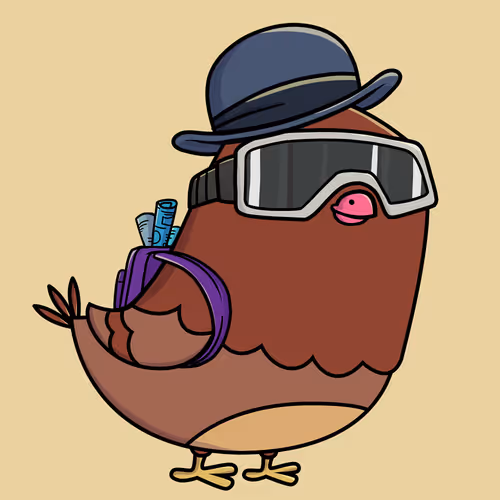 Everythingscoo