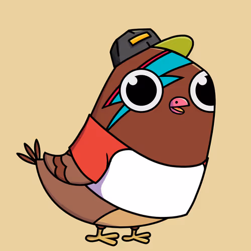Everythingscoo