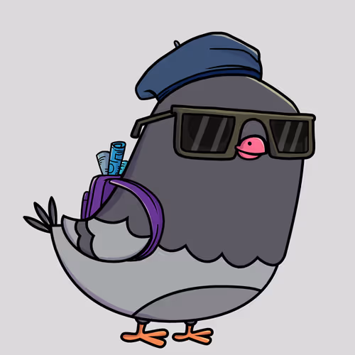 Everythingscoo