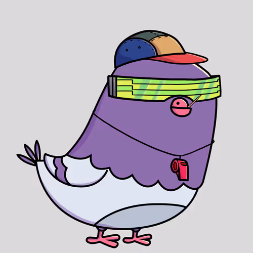 Everythingscoo