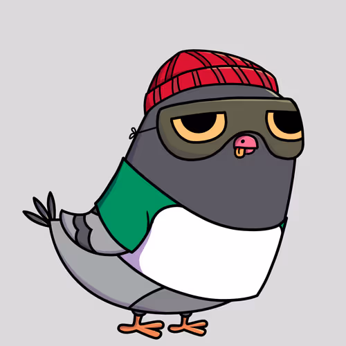 Everythingscoo