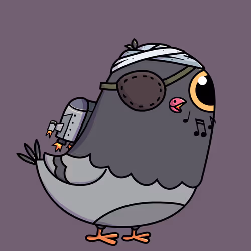 Everythingscoo