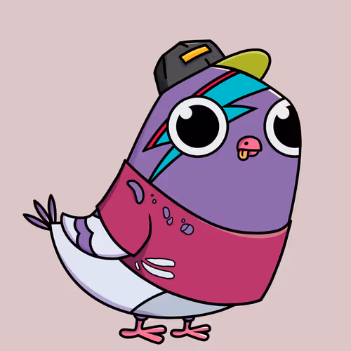 Everythingscoo