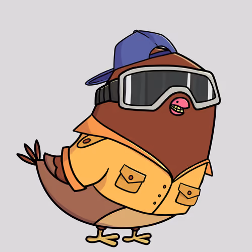 Pigeon #9717